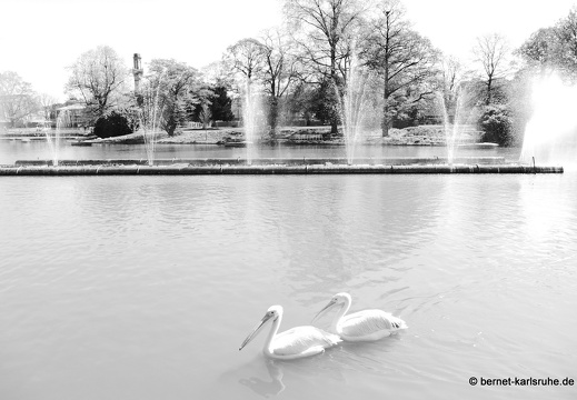 13-04-24-zoo-120