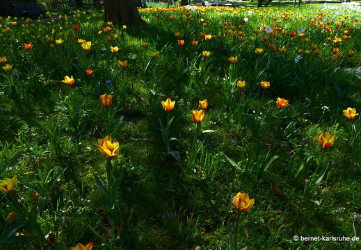 13-04-24-zoo-173