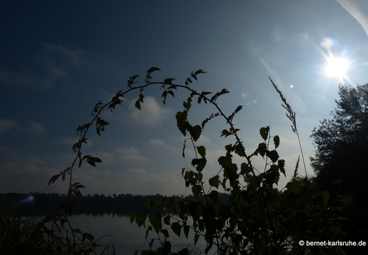 13-09-24-leopoldshafen-baggersee-mittelgrund-026
