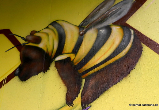 13-10-24-alb-graffitis-109