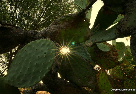 15-09-17-capoterra-156