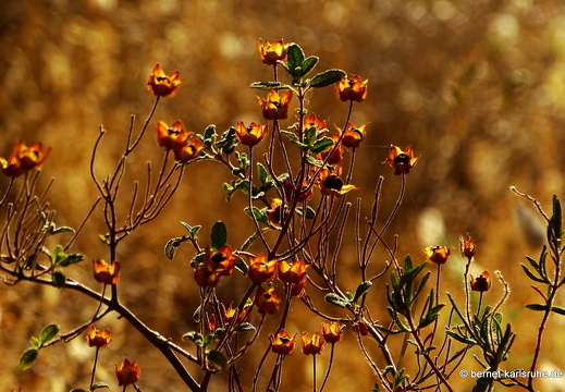 15-09-18-ct-parco urbano-