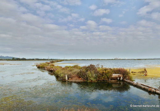 15-09-19-ct-stagno di capoterra-205