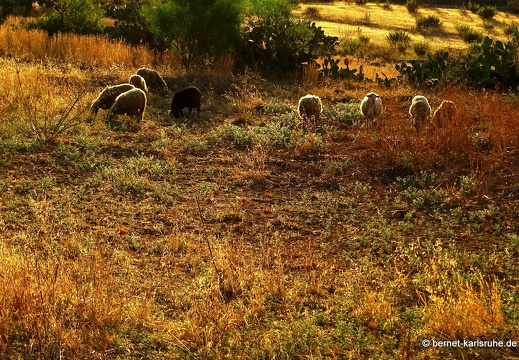 15-09-20-ct-morgenwanderung-046