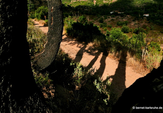 15-09-20-ct-morgenwanderung-220