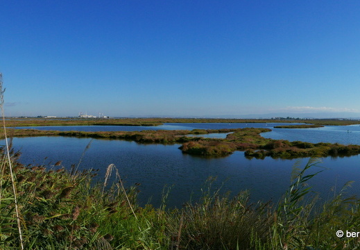 15-09-22-ct-stagno santa lucia-006