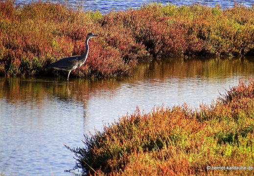 15-09-22-ct-stagno santa lucia-065