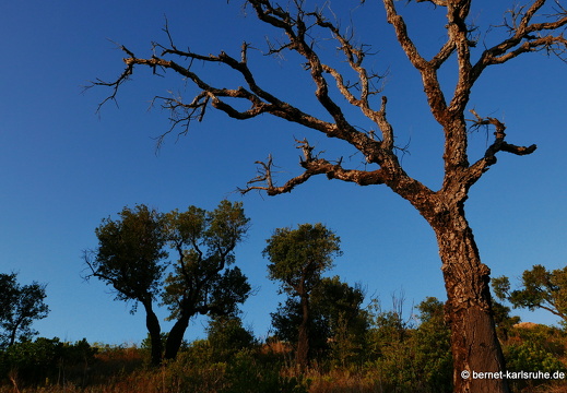 15-09-24-ct-bergwanderung-006