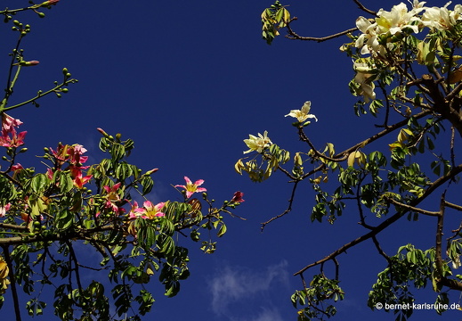 15-09-24-ct-bergwanderung-128