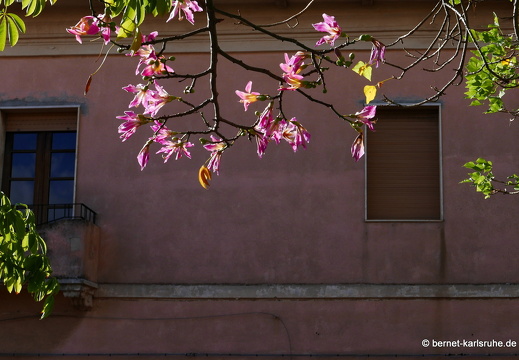 15-09-24-ct-markt-001