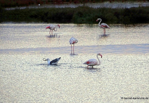 15-09-26-ct-maddalena-see-033
