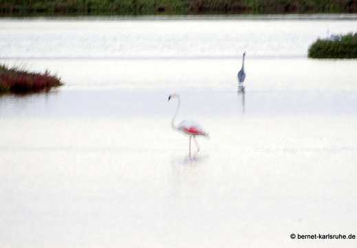 15-09-26-ct-maddalena-see-038