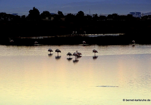 15-09-26-ct-maddalena-see-059