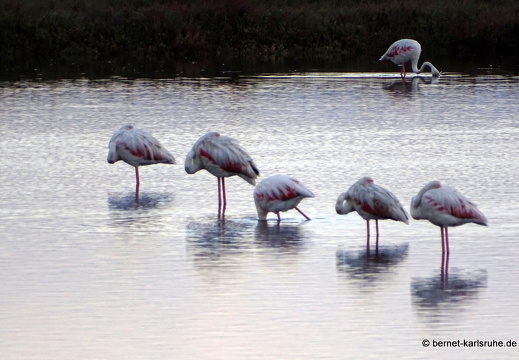 15-09-26-ct-maddalena-see-068