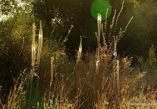 15-09-27ct-huegelwanderung-055