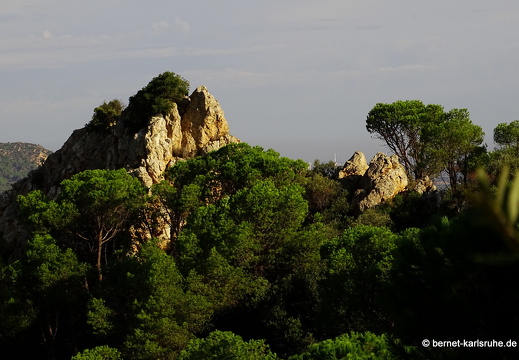 15-09-29-poggio dei pini-231