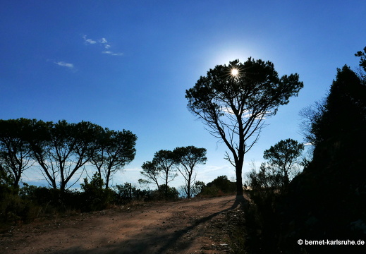 15-09-29-poggio dei pini-254