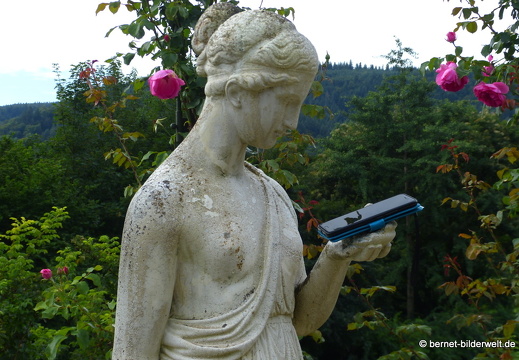 21-08-10-bad-rosenneuheitengarten-179