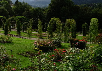 21-08-10-bad-rosenneuheitengarten-201