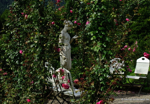 21-08-10-bad-rosenneuheitengarten-236