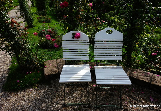 21-08-10-bad-rosenneuheitengarten-242