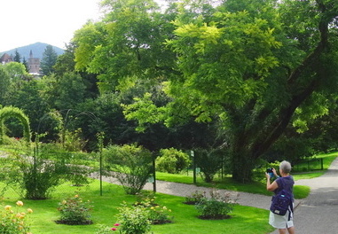 21-08-10-bad-rosenneuheitengarten-259