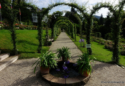 21-08-10-bad-rosenneuheitengarten-267