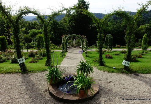 21-08-10-bad-rosenneuheitengarten-268