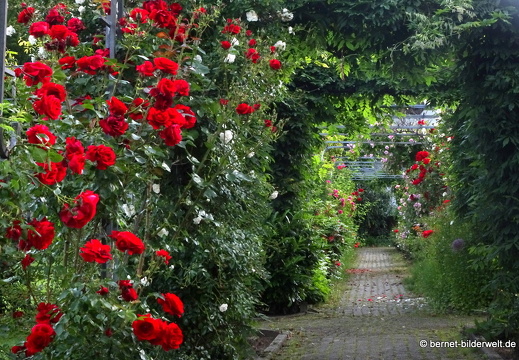 21-06-12-klostergarten-mariahilf-004