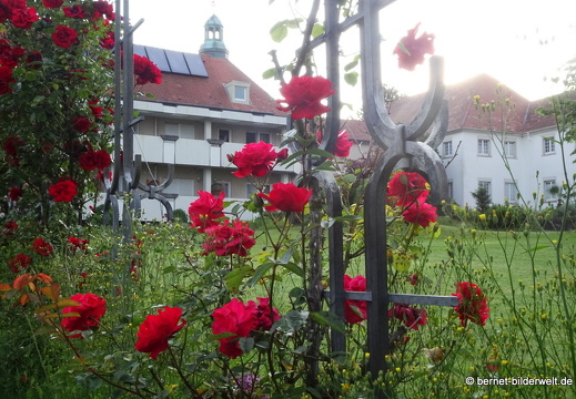21-06-12-klostergarten-mariahilf-021