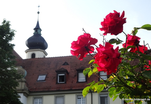 21-06-12-klostergarten-mariahilf-068
