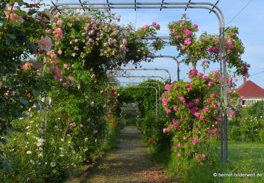 21-06-12-klostergarten-mariahilf-091