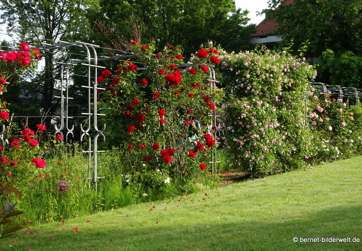 21-06-12-klostergarten-mariahilf-120