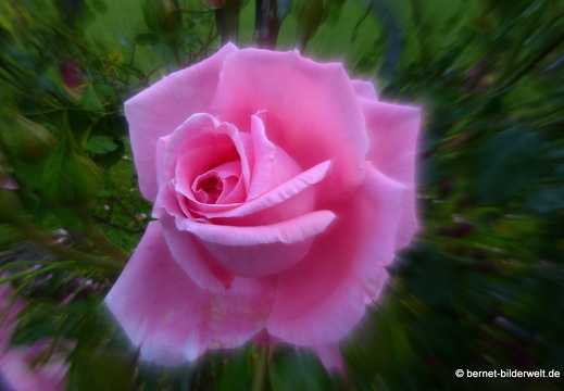 21-06-12-klostergarten-mariahilf-137