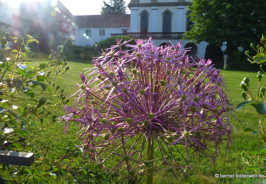 21-06-12-klostergarten-mariahilf-150