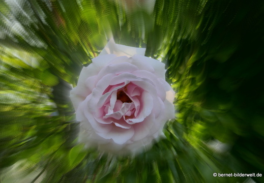 21-06-12-klostergarten-mariahilf-195