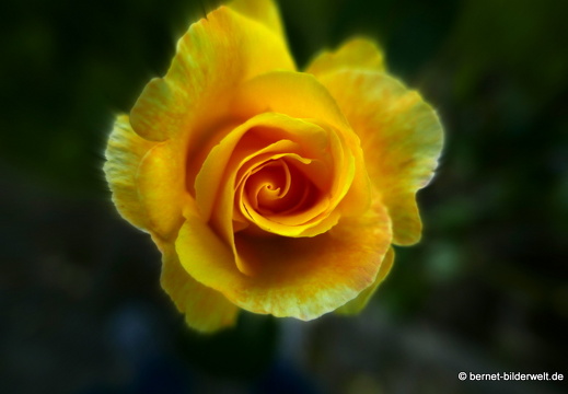 21-06-12-klostergarten-mariahilf-202
