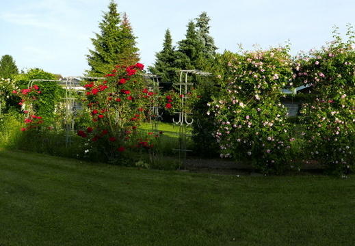 21-06-12-klostergarten-mariahilf-216