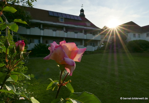 21-06-12-klostergarten-mariahilf-222