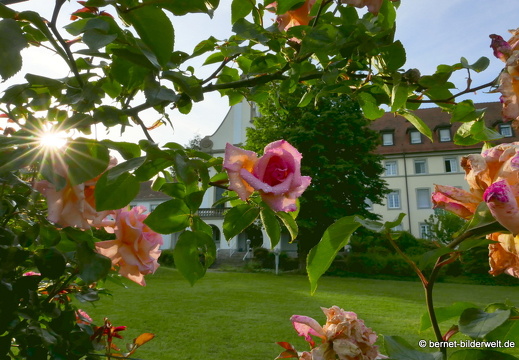 21-06-12-klostergarten-mariahilf-239