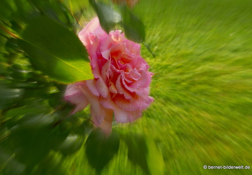 21-06-12-klostergarten-mariahilf-241