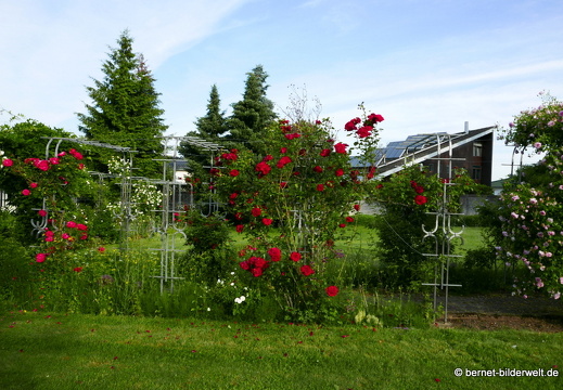 21-06-12-klostergarten-mariahilf-262