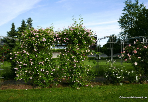 21-06-12-klostergarten-mariahilf-263