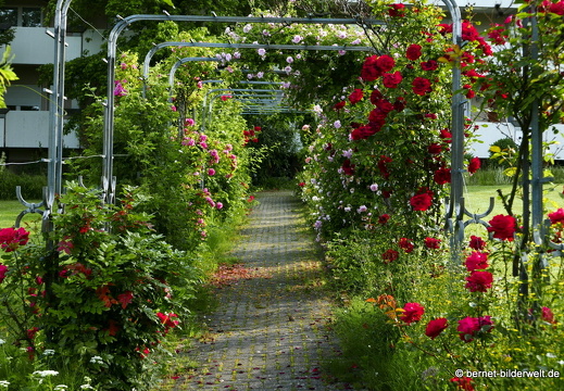21-06-12-klostergarten-mariahilf-266