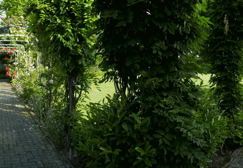 21-06-12-klostergarten-mariahilf-282