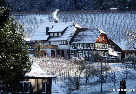 21-01-09-burg windeck-016