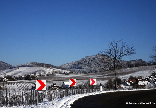 21-01-15-weinberge-schnee-068