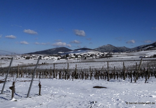 21-02-11-weinreben im schnee-016