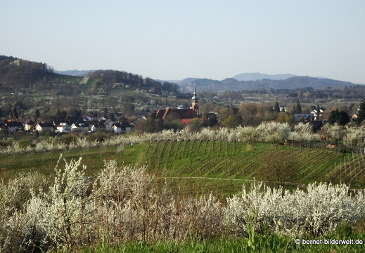 21-04-01-obstbluete-weinberge-kappelwindeck-kirche-