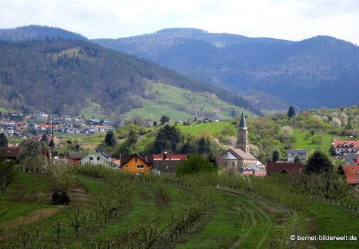21-04-17-weinberge-aussicht-altschweier-